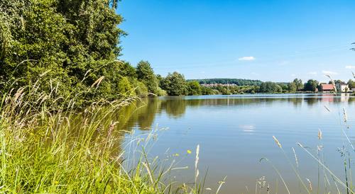 Billede fra billedgalleriet på Landhotel Mappacher Hof i Bruck in der Oberpfalz