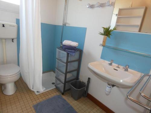 une salle de bain avec des toilettes blanches et un lavabo dans l'établissement Maison en forêt à 10 min de la plage, animaux admis, parking - FR-1-540-299, à Notre-Dame-de-Monts