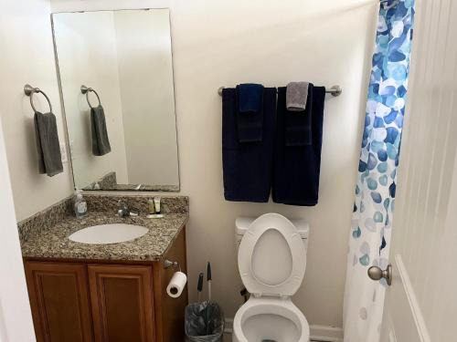 a bathroom with a toilet and a sink and a mirror at Contemporary 2-BR cottage, 2 Blocks to Beach in Myrtle Beach