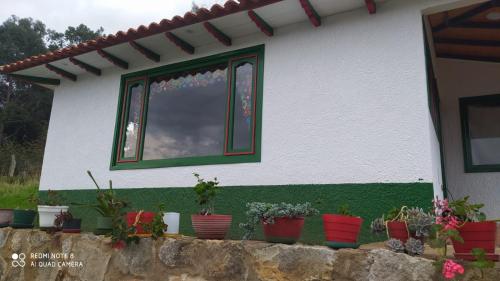 a house with potted plants in front of a window at HOSPEDAJE LA LOMITA, Cabañas in Monguí