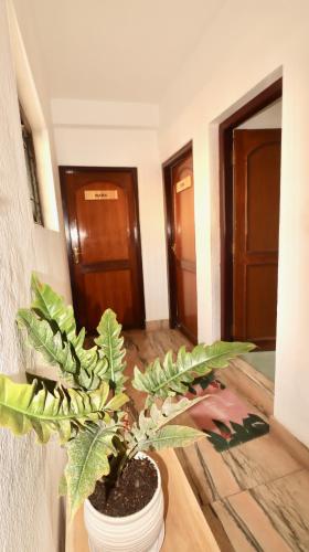 Φωτογραφία από το άλμπουμ του Wanderer's Home Chabahil - A home away from home στο Κατμαντού