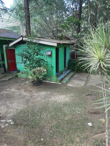 a green house with a red door in a yard at Dian Rana Bungalow Lampuuk in Lamgire