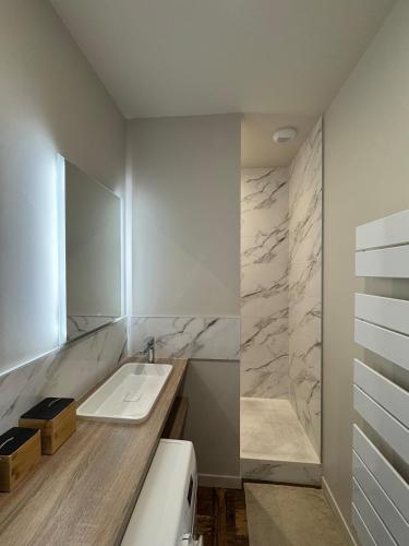 une salle de bain avec un lavabo et des toilettes dans l'établissement LE LAMARTINE, appartement de charme au coeur de Bagnères, à Bagnères-de-Bigorre