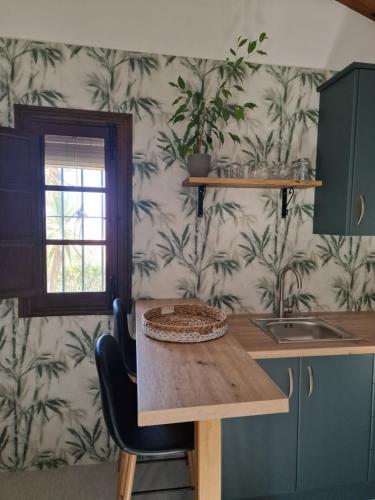 Dapur atau dapur kecil di Finca Flamenco Holiday Suites Adults Only