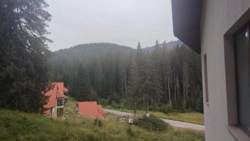 a view of a house and a road in a forest at Alpine Relax free spa & pool in Pamporovo