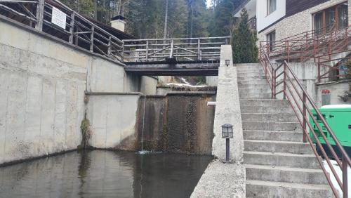 a bridge over a body of water with stairs at Alpine Relax free spa & pool in Pamporovo