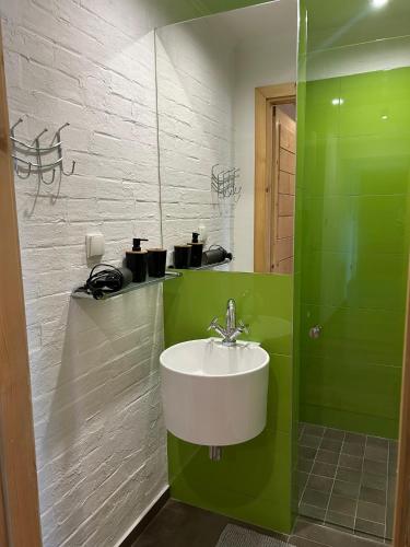 a bathroom with a sink and a green wall at Willa Emma in Poronin