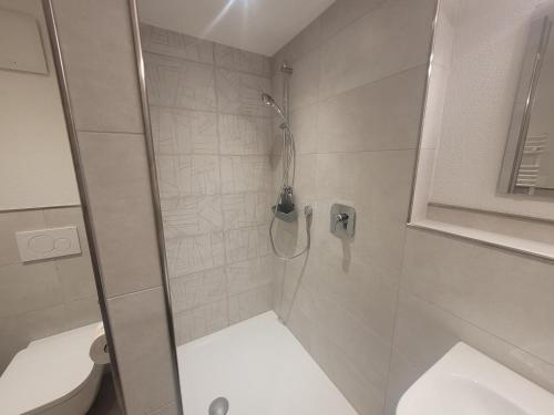 a bathroom with a shower and a toilet in it at Pension & Ferienwohnung Oberhof 810 M in Oberhof