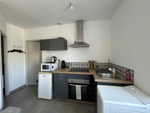une petite cuisine avec un évier et un micro-ondes dans l'établissement Appartement plein centre, à Vierzon