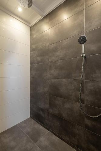 a shower in a bathroom with a metal wall at Erve Dennenoord in Vasse