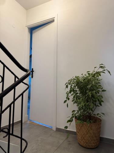 Photo de la galerie de l'établissement Pyramide, à Argenteuil