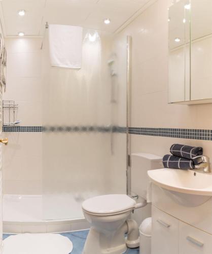 a bathroom with a shower and a toilet and a sink at Lütje Seute in Böhl
