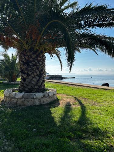 Dalmatia Camp 84 Mobil house