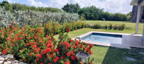 Swimmingpoolen hos eller tæt på Villa Gligli