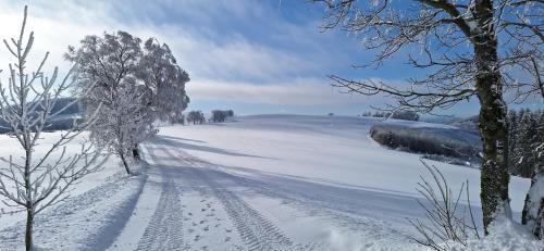 a snow covered road with footprints in the snow at Landhaus Gnacke in Schmallenberg