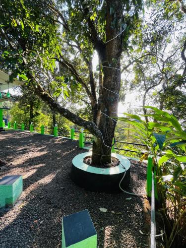 a tree sitting in a park next to a fence at GreenSpot Homestay in Idukki