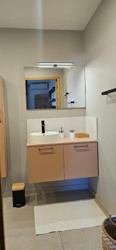 a bathroom with a sink and a mirror at Logement Coquelicot in Friar's Bay
