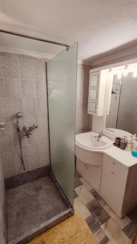 a bathroom with a shower and a sink and a mirror at Dimelia Heaven Farm in Kranidi