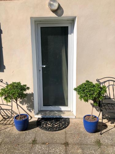 two potted trees sitting in front of a door at Studio calme avec terrasse proche de Lyon in Sainte-Foy-lès-Lyon