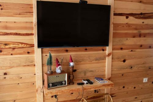 TV/Unterhaltungsangebot in der Unterkunft Apartman Crni bor 1 Tara