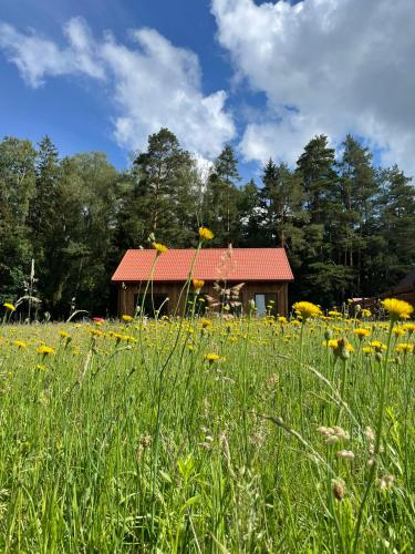 Przystanek Beztroska