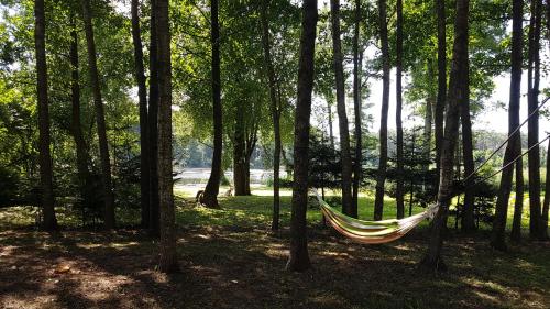 Taman di luar Przystanek Beztroska