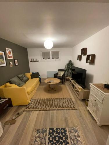 Cosy appartement jardin centre ville