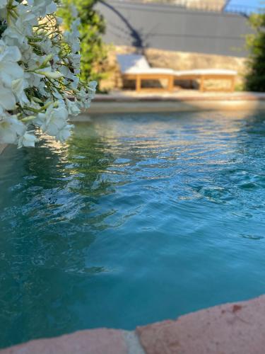 - une piscine d'eau bleue et de fleurs blanches dans l'établissement Maison aeterna, à Salazac