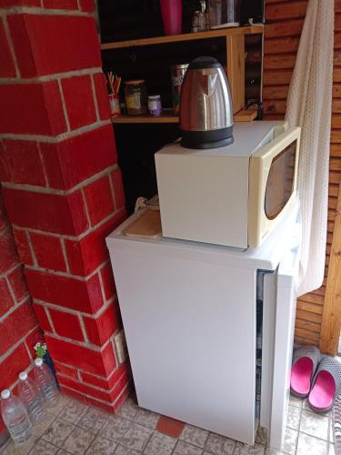 a microwave on top of a refrigerator next to a brick wall at Chata Evička a Jiříček in Raškovice