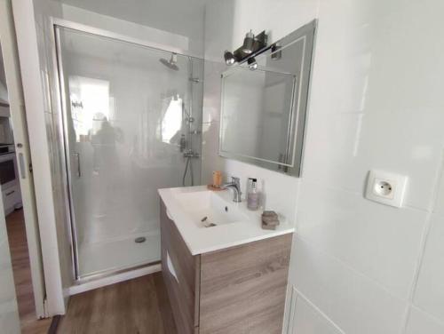Un baño blanco con ducha y lavabo. en L'Alexiane, Centre Luchon, parking gratuit, wifi, en Luchon