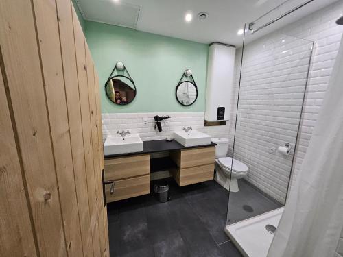 une salle de bain avec un lavabo, des toilettes et un miroir dans l'établissement Appartement chic hyper centre, à Troyes