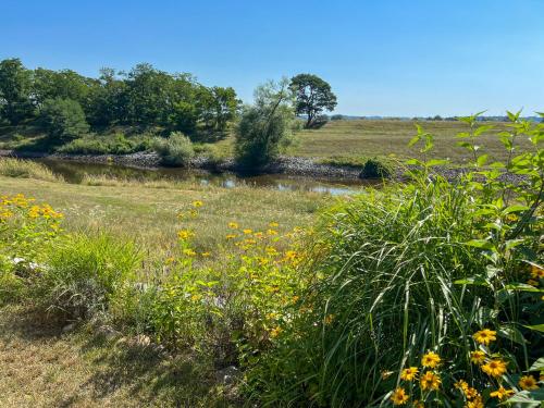 Imagen de la galería de Haus am Oderstrom, en Hohensaaten