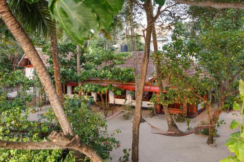 a resort with a hammock in the middle of trees at Sea Hut Homestay in Cochin