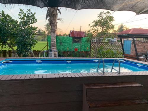 a swimming pool with an umbrella in a yard at Palas Tiny Homestay in Changlun