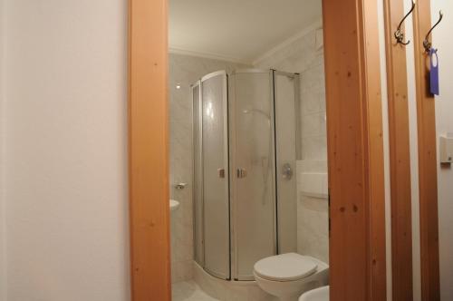 a bathroom with a shower and a toilet at Sport Hotel Wildgall in Anterselva di Mezzo