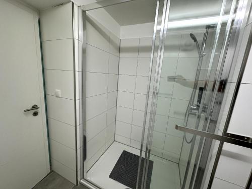a shower with a glass door in a bathroom at Monteurzimmer bei Jena - T und T GbR in Bucha