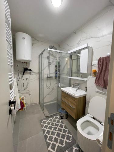 Un baño con ducha, inodoro y lavabo. en Zafiro 27 Kolašin, en Kolašin