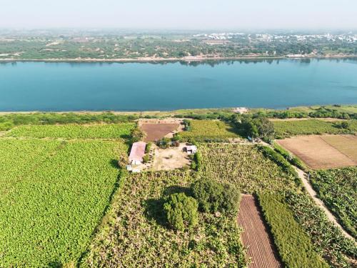 an aerial view of a field and a lake at ShivaRewa Village stay in Maheshwar
