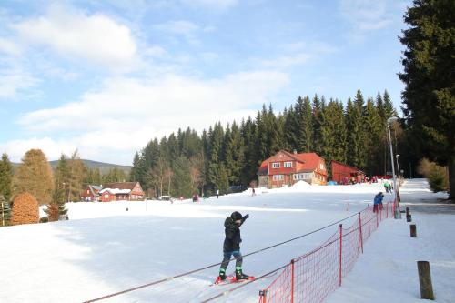 una persona parada en esquís sobre una ladera cubierta de nieve en Apartmán Resident Harrachov and Wellness, en Harrachov