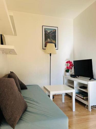 - un salon avec un lit et un bureau avec une télévision dans l'établissement Charmant appartement en plein centre ville de Nogent sur Marne, à Nogent-sur-Marne