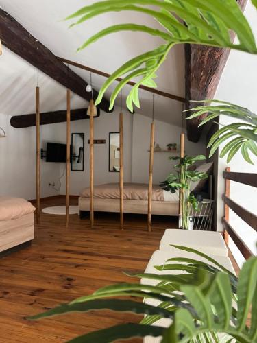 - une chambre avec deux lits et un arbre dans l'établissement MH Logement - Escapade aux Arènes, à Nîmes