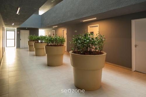 a row of potted plants in a hallway at Studio c/ piscina em Poços de Caldas PGO412 in Poços de Caldas