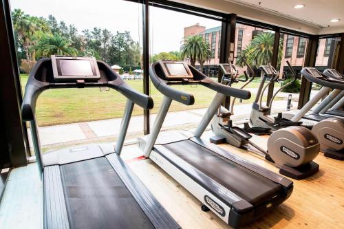 a group of treadmills in a gym with a window at Sheraton Pilar Hotel & Convention Center in Pilar