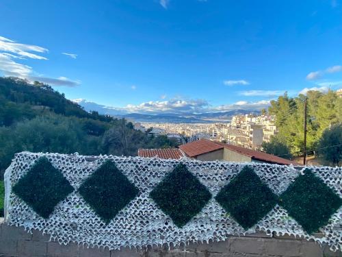 20 mins from city centre, rural house