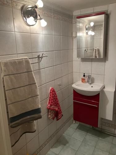 a bathroom with a sink and a mirror at Lovely house in Oslo in Oslo