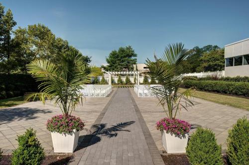 two palm trees in white pots on a walkway at Sheraton Eatontown Hotel in Eatontown
