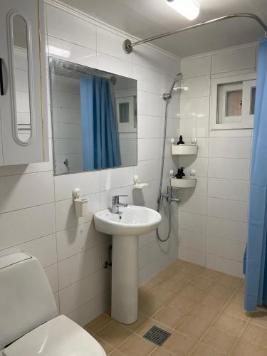 a bathroom with a sink and a toilet and a mirror at Sky Garden in Seoul