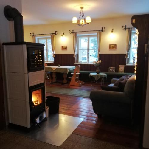 a living room with a living room with a fireplace at Alpengasthof Gutenbrunn in Mallnitz