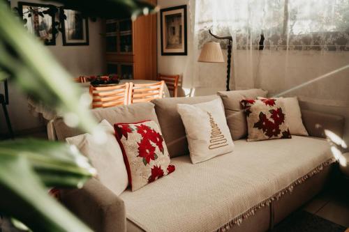 a couch with pillows on it in a living room at Kyperounta Retreat in Kyperounda