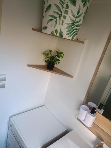 une salle de bains avec une plante sur une étagère et un miroir dans l'établissement Mobil-home, à Bias